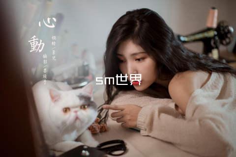 sm世界
